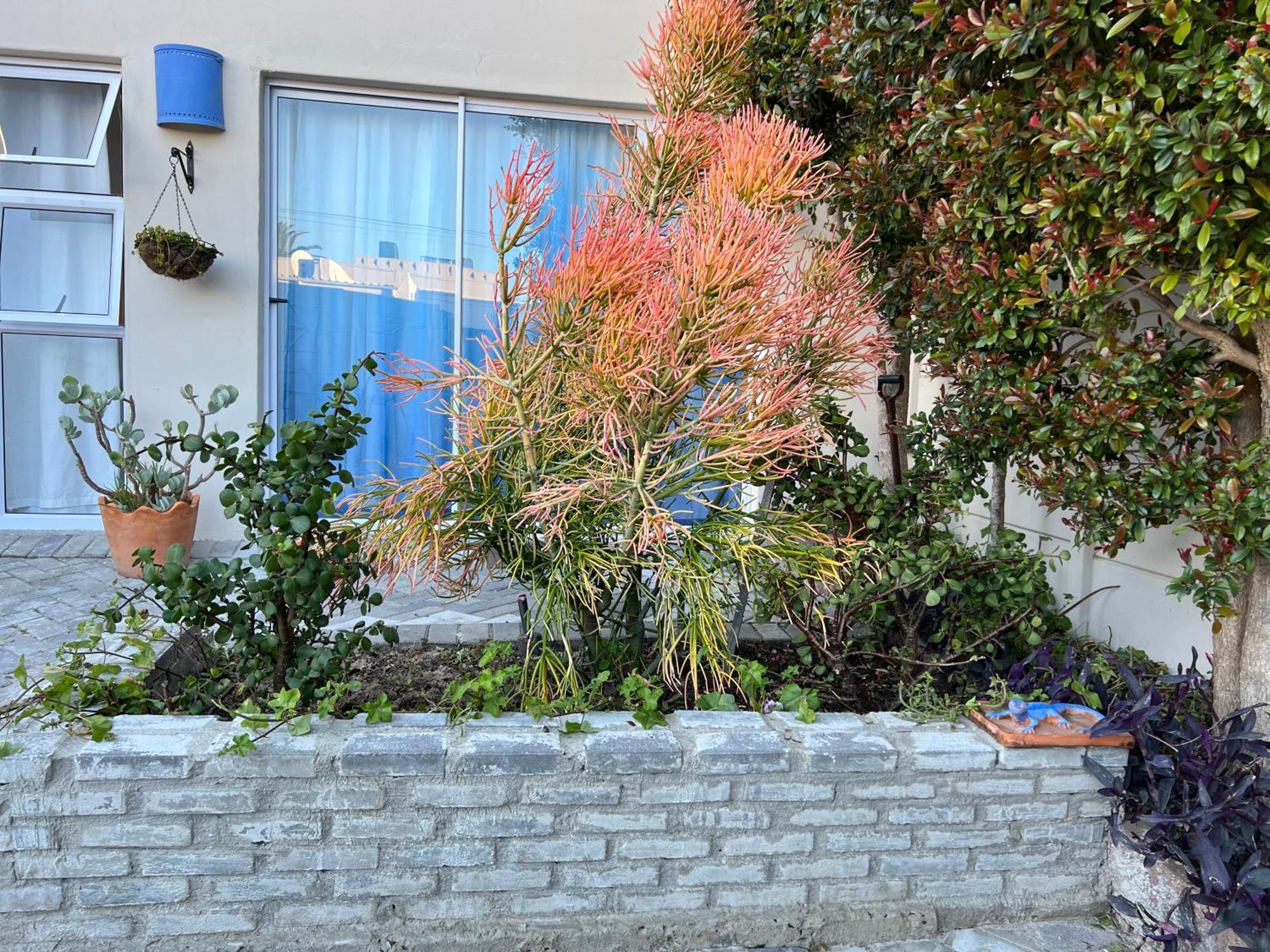 Coastal House - 2br And Self Catering * Le Cap